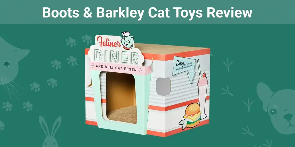 Boots & Barkley Cat Toys Review 2023: prós, contras & Veredicto