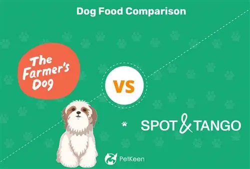 Ūkininko šuo vs vietoje & Tango 2023 Palyginimas: kuris šunų maistas yra geresnis?