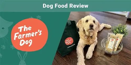 The Farmer's Dog Food Review 2023: Fördelar, nackdelar & Final Verdict