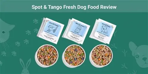 Spot & Tango Fresh Dog Food Review 2023: Klady, zápory & Konečný verdikt