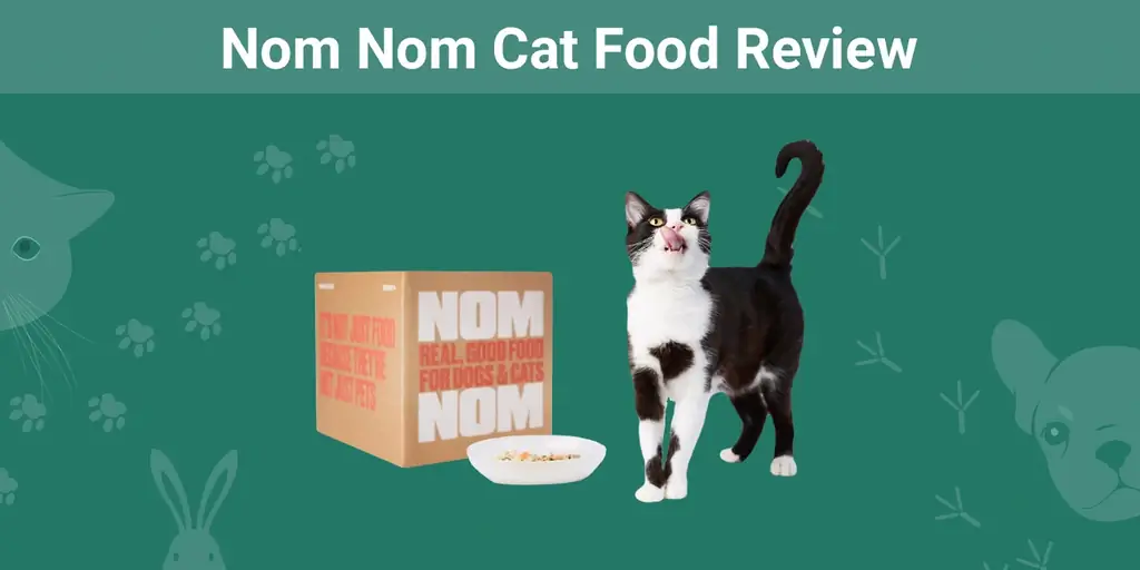 Nom Nom Cat Food მიმოხილვა 2023: დადებითი, უარყოფითი მხარეები & იხსენებს