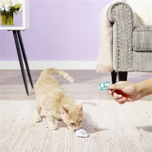 10 Pinakamahusay na Remote Control Cat Toy noong 2023 – Mga Review & Mga Nangungunang Pinili