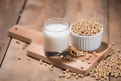 ¿Pueden los gatos beber leche de soya? Datos aprobados por veterinarios & Preguntas frecuentes