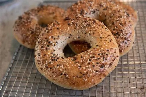 Μπορούν οι σκύλοι να τρώνε Bagels; Εγκεκριμένα από κτηνίατρο γεγονότα & FAQ