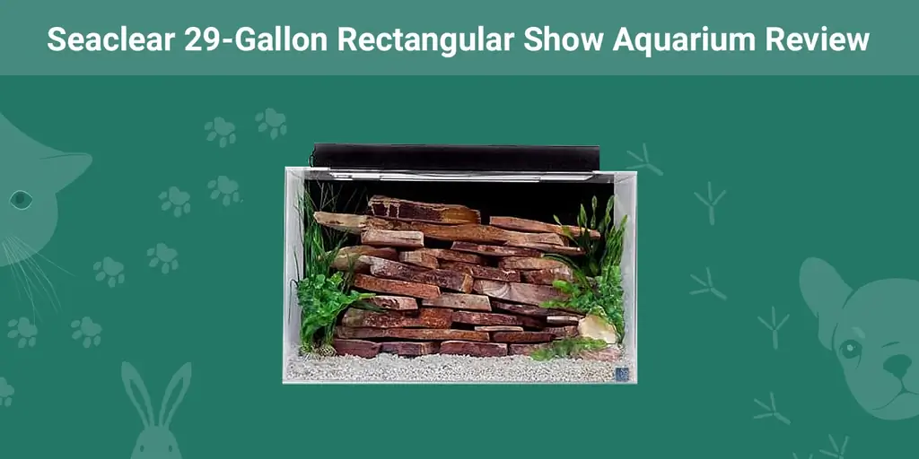 Seaclear Rectangular Show Aquariumde 29galones Revisión 2023 Actualización