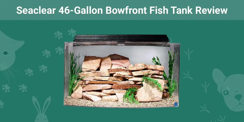 Seaclear 46-Gallon Bowfront Fish Tank Review 2023 Hloov tshiab
