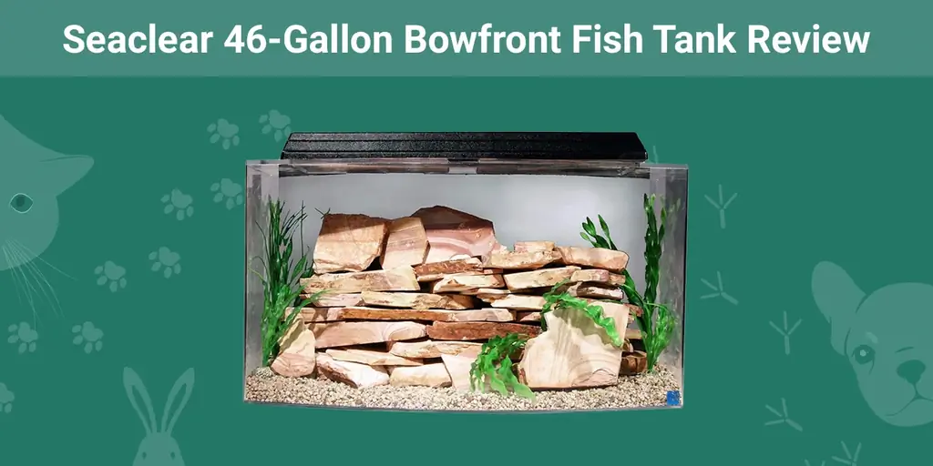 Seaclear 46-galon Bowfront Fish Tank Review 2023. gada atjauninājums