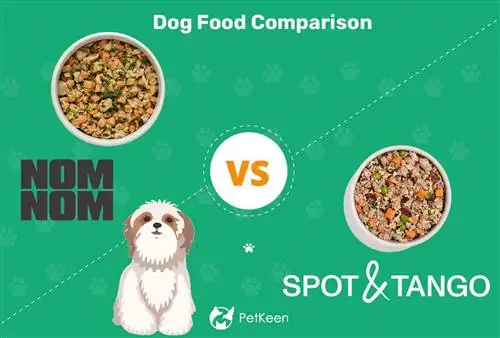 Nom Nom vs Spot & ታንጎ፡ የትኛው ትኩስ የውሻ ምግብ የተሻለ ነው? (2023)