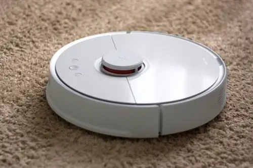 8 Pinakamahusay na Robot Vacuum para sa Buhok ng Aso noong 2023 – Mga Review & Mga Nangungunang Pinili