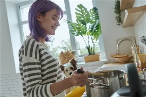 Come cucinare il pollo & Riso per cani: dieta blanda approvata dal veterinario