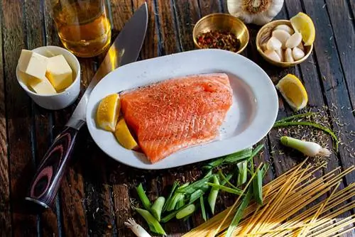 هل يمكن للكلاب أن تأكل سمك السلمون المدخن؟ الفوائد المعتمدة من الطبيب البيطري & المخاطر