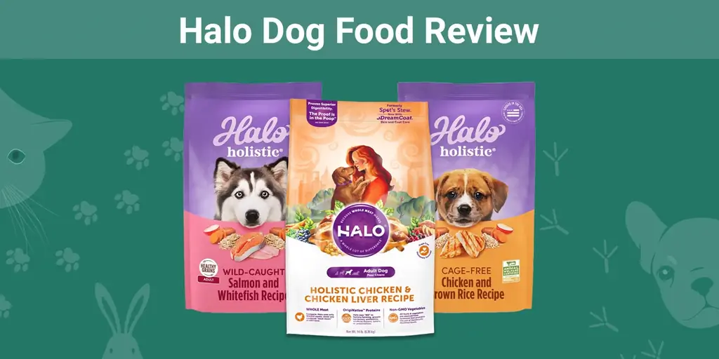 Recenzja karmy dla psów Halo 2023: przypomina, zalety & wady