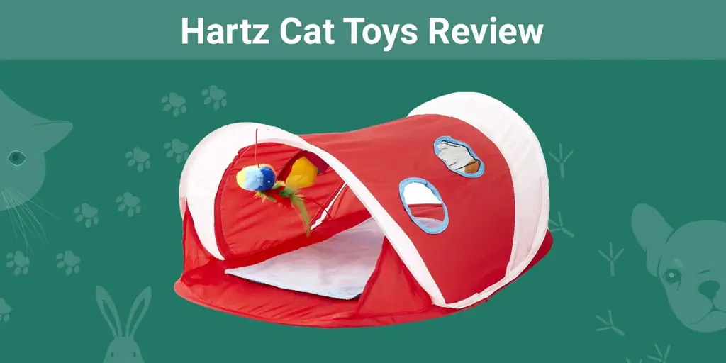 Hartz Cat Toys Review 2023: Fordeler, ulemper & dom