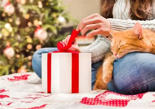 10 המתנות הטובות ביותר לחתולי חנוכה בשנת 2023 - ביקורות & בחירות מובילות