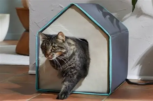 10 بهترین خانه گربه گرم شونده (برای فضای داخلی & در فضای باز) 2023 – نظرات & بهترین انتخاب