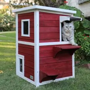 8 cele mai bune case pentru pisici în aer liber & Adăposturi în 2023 – Recenzii & Cele mai bune alegeri