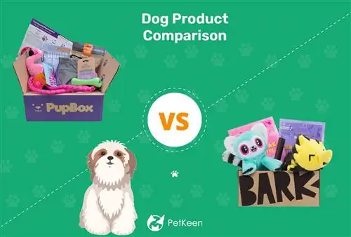 Pupbox vs BarkBox: una comparación de 2023