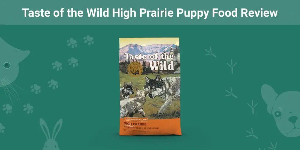 Taste of the Wild High Prairie Puppy Food Review 2023: Amintiri, avantaje & Contra
