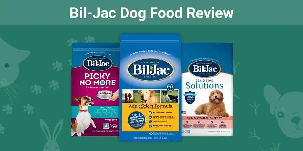 Bil-Jac Recenzia krmiva pre psov z roku 2023: stiahnutie z trhu, plusy & mínusy