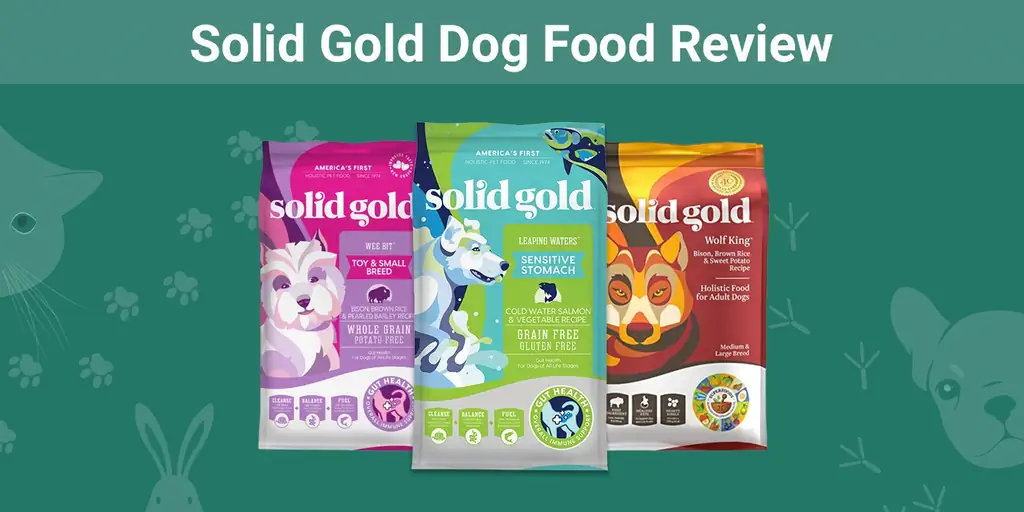 Преглед на храните за кучета Solid Gold за 2023 г.: изземвания, плюсове, минуси, & ЧЗВ