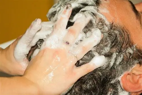 Voivatko ihmiset käyttää koiran shampoota? Kuinka tehokas se on?