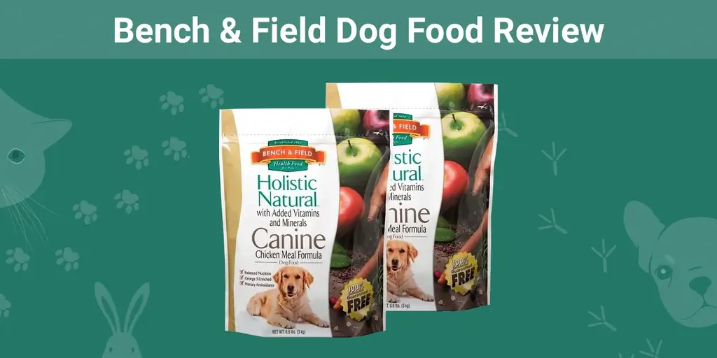 Benk & Field Dog Food Review 2023: Tilbakekallinger, fordeler & Ulemper