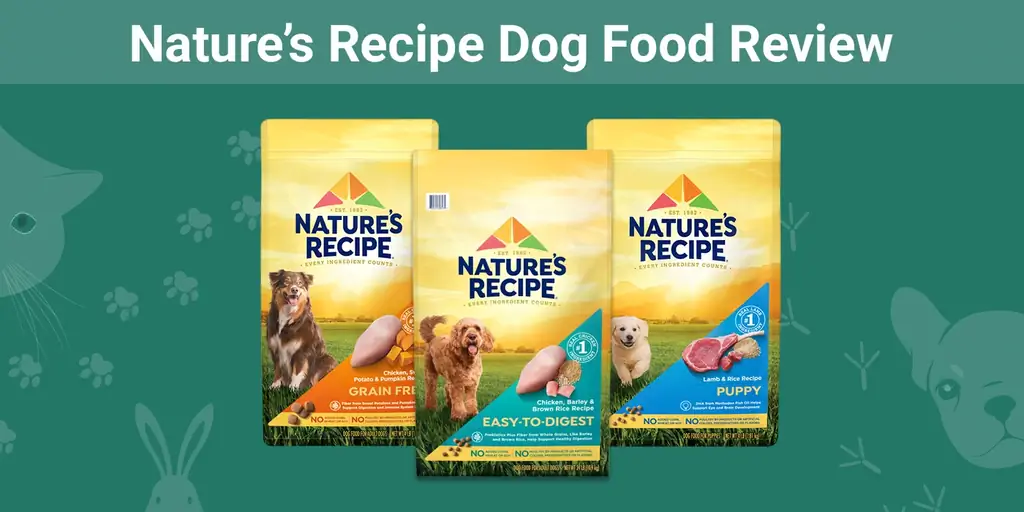 Revisió de menjar per a gossos de la recepta de la natura 2023: recordatoris, avantatges & contres
