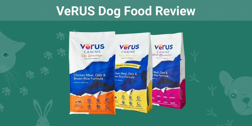 VerUS Dog Food Review 2023: Pros, Cons & Recalls