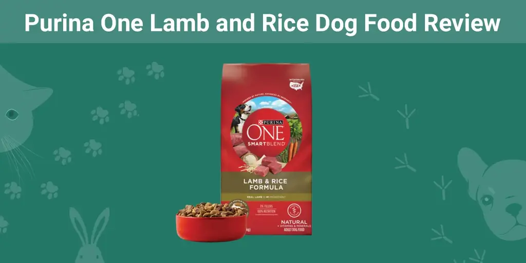 Recenzja karmy dla psów Purina One z jagnięciną i ryżem 2023: przypomina, zalety & wady