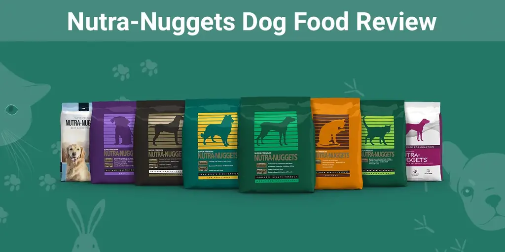 Nutra-Nuggets нохойн хоолны тойм 2023: Давуу болон сул тал & Сануулахад