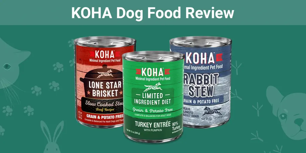 KOHA Dog Food Review 2023: voors, tegens & herinnert zich