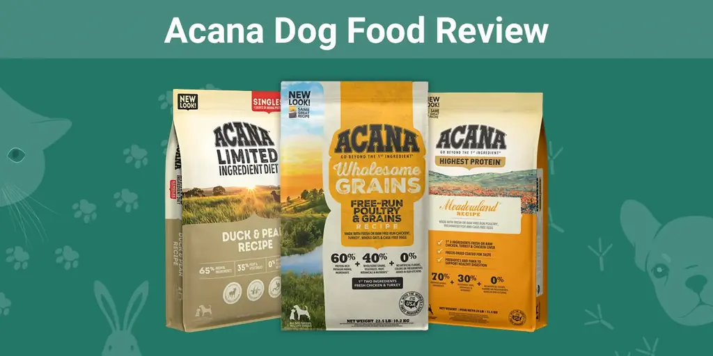 Acana Dog Food მიმოხილვა 2023: დადებითი, უარყოფითი მხარეები, გახსენება და ხშირად დასმული კითხვები
