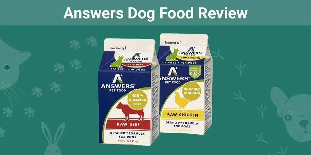 Պատասխաններ Շների սննդի վերանայում 2023թ.՝ հիշեցումներ, կողմ & դեմ