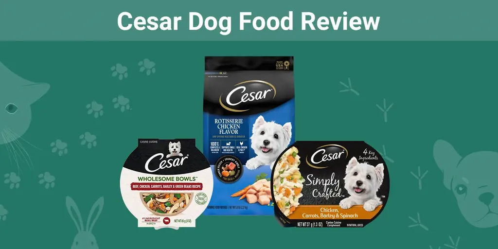 Recenze Cesar Dog Food 2023: Klady, zápory, stažení a průvodce