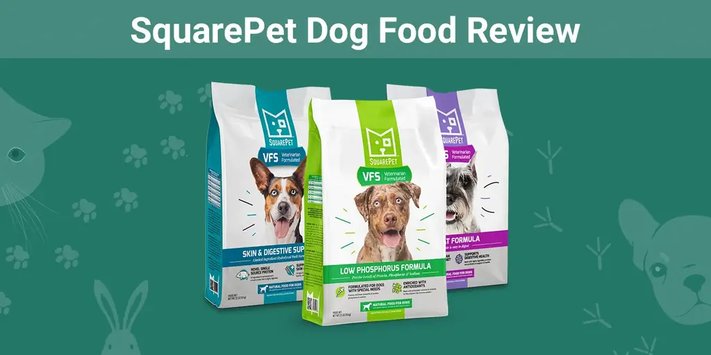 SquarePet Dog Food Review 2023: Rov qab, Pros & Cons