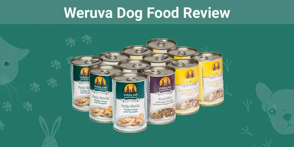 Weruva Dog Food Review 2023: Pro, Kontra, Penarikan, dan Panduan