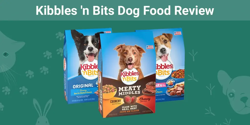 Kibbles 'n Bits Dog Food Review 2023: herinneringen, voordelen & nadelen