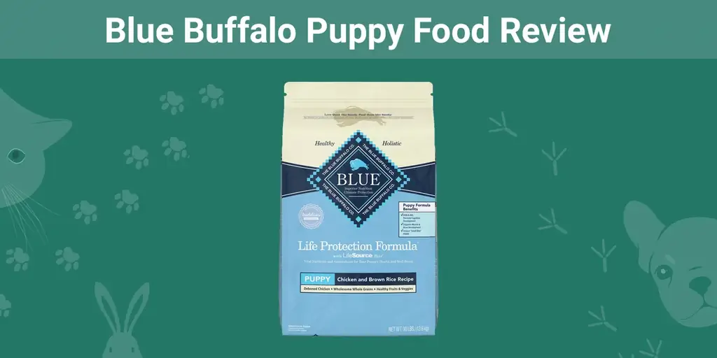 Blue Buffalo Puppy Food Review 2023: Ưu điểm, Nhược điểm, Thu hồi và Câu hỏi thường gặp