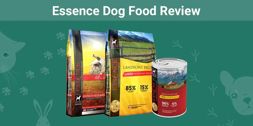 Essence Dog Food Review 2023: Recalls, Plusy & Cons