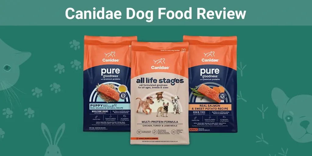 Canidae Dog Food Review 2023: استدعاء ، إيجابيات & سلبيات