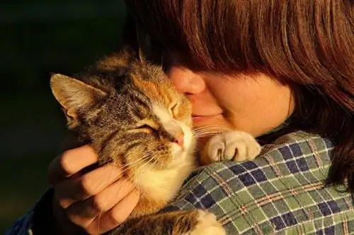 I gatti hanno un umano alfa? Spiegazione dell'affetto felino