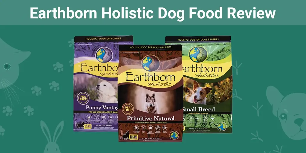 סקירת מזון הוליסטית לכלבים Earthborn 2023: זיכרונות, יתרונות & חסרונות
