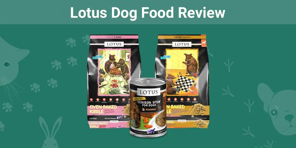Lotus Dog Food Review 2023: Rechemari, avantaje & Contra