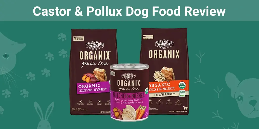 Castor & Pollux Dog Food Review 2023: Pro, Kontra, Penarikan Kembali, dan FAQ