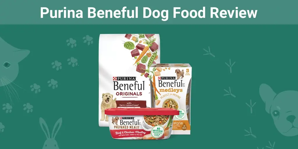 Purina Beneful Dog Food Review 2023: Артықшылықтары, кемшіліктері, еске түсірулер & ЖҚС