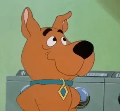 Scrappy-Doo ямар үүлдрийн нохой вэ? Алдарт телевизийн нохдыг толилуулж байна