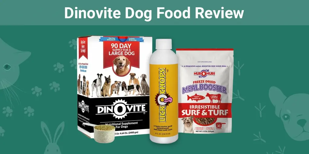 Dinovite Dog Food Review 2023: Recalls, Plusy & Minusy