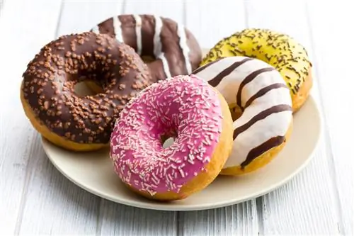 Maaari bang Kumain ng Donut ang Pusa? Malusog ba ang mga ito para sa mga pusa? Mga Katotohanan & FAQ