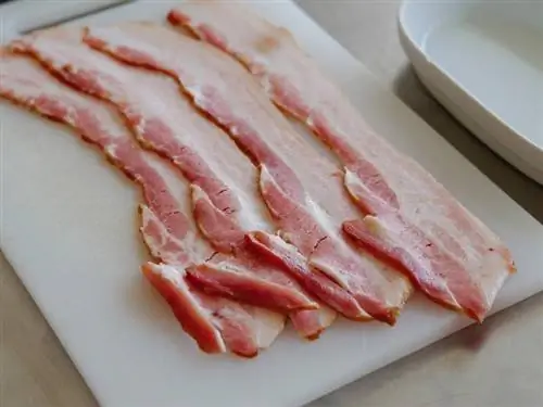 Maaari bang Kumain ng Bacon ang Pusa? Mga Katotohanan & FAQ