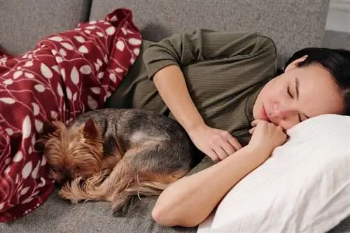 Mengapa Anjing Saya Tidur Dengan Saya & Bukan Suami Saya? 5 Sebab